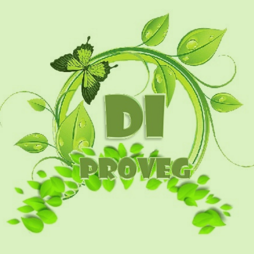 DI PROVEG