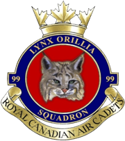 99 Lynx
