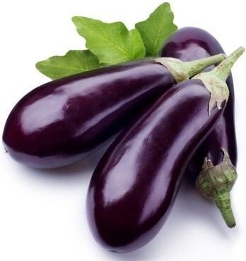 Long Brinjal (Approximately 50 seeds)
