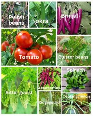Organic Combo Pack with10 variety of vegetable seeds