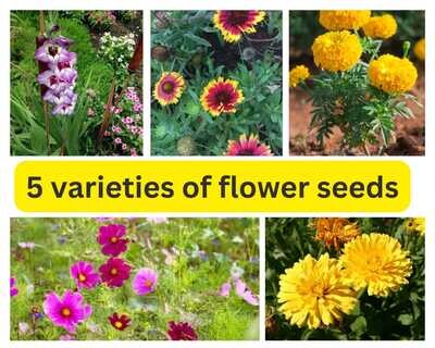 Organic Combo Pack With 5 Variety of Flower Seeds (5grm Per Packet)