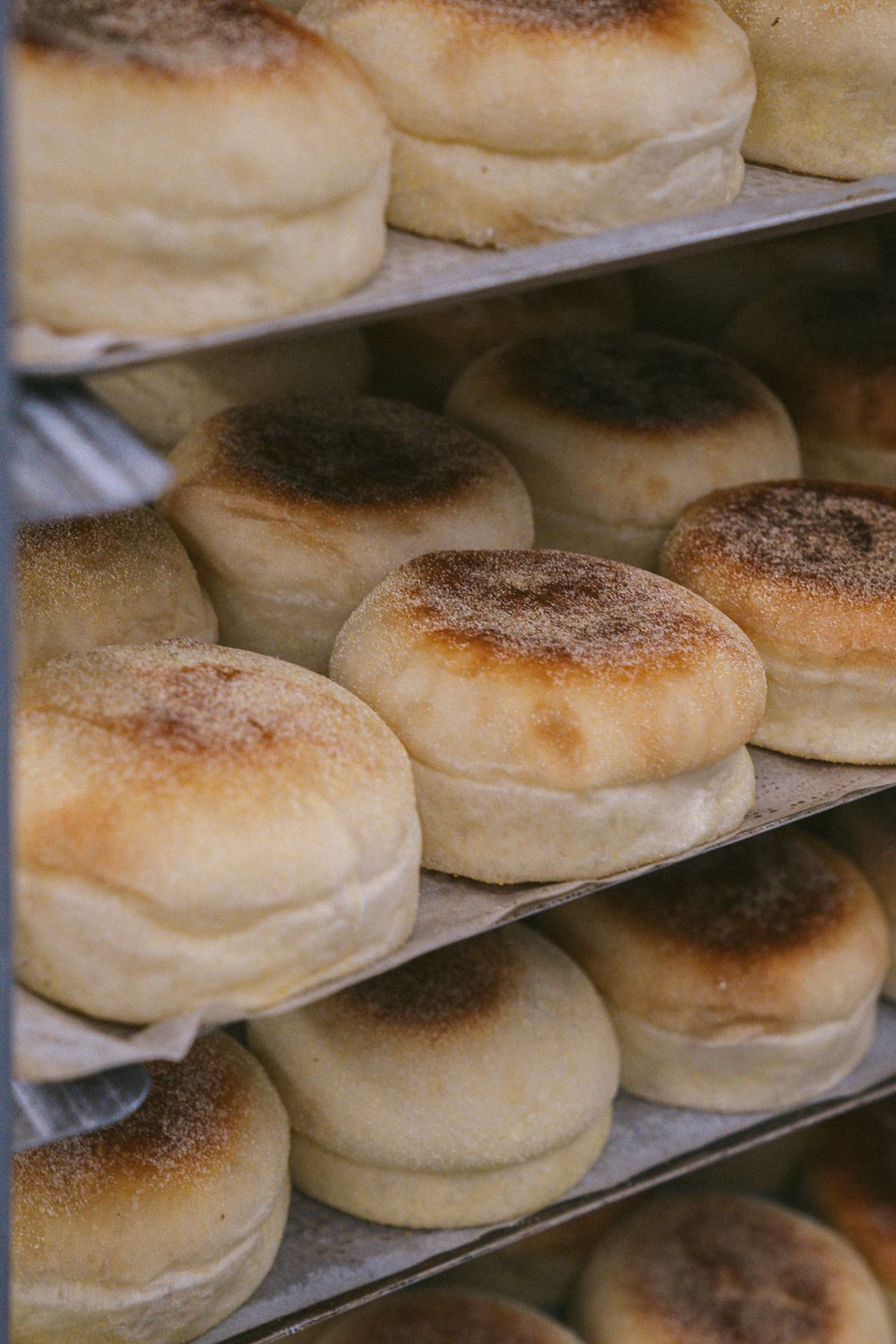 Muffin anglais (Paquet de 4)