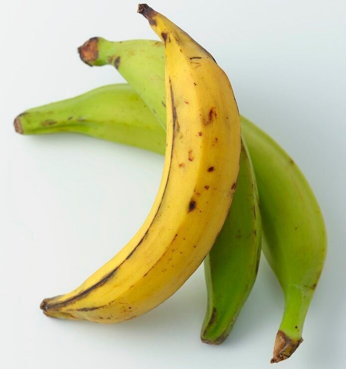 Plantain