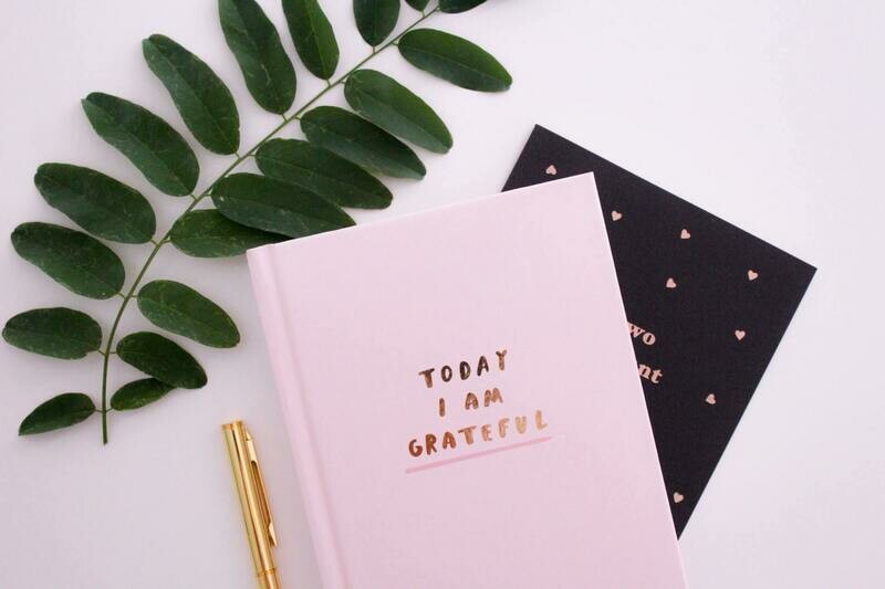Growth Journal