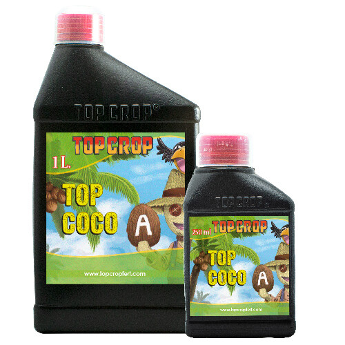 TOP CROP COCO A 250 CC