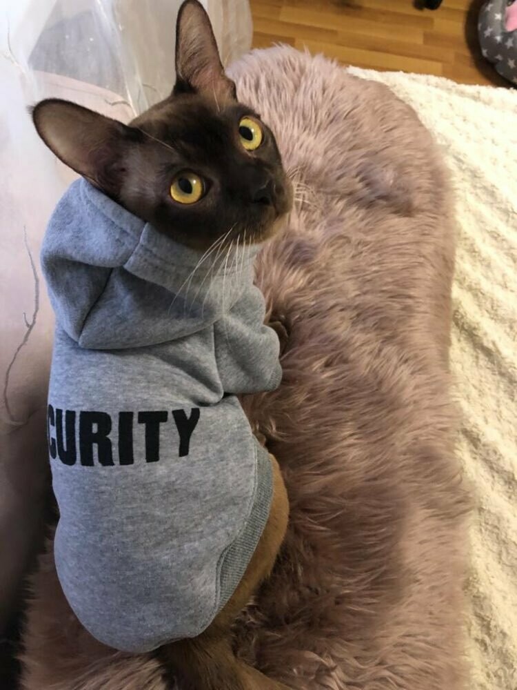 Sudadera SECURITY
