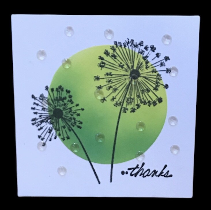 THANKS/ DANDELIONS
