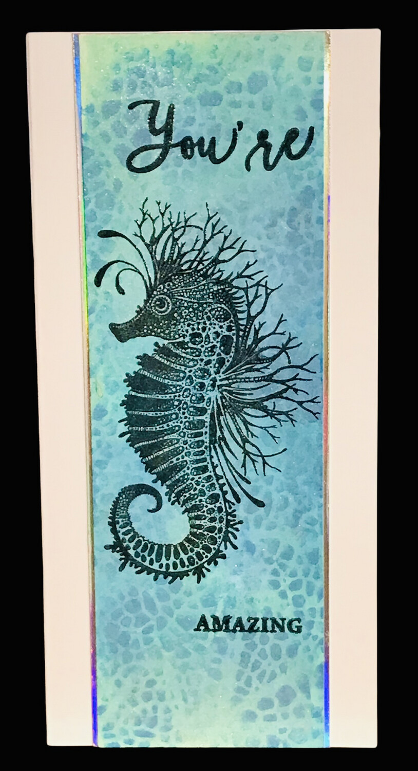 YOU'RE AMAZING/ SEAHORSE
