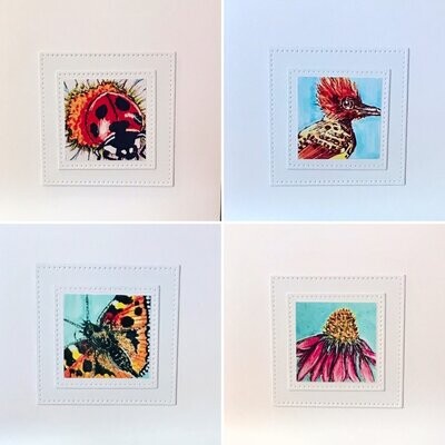 NOTECARDS/ NATURE B Pack of 4 assorted