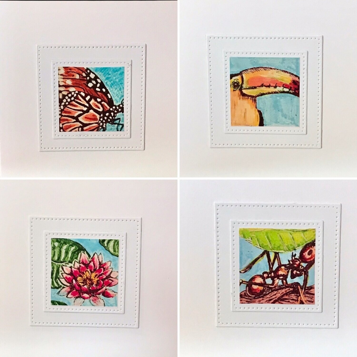 NOTECARDS/ NATURE C Pack of 4 assorted