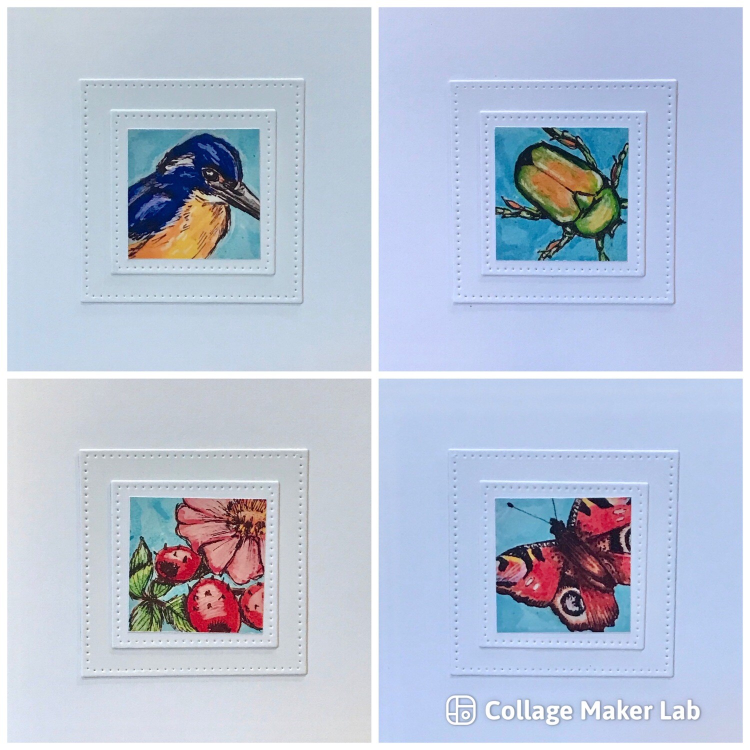 NOTECARDS/ NATURE A Pack of 4 assorted
