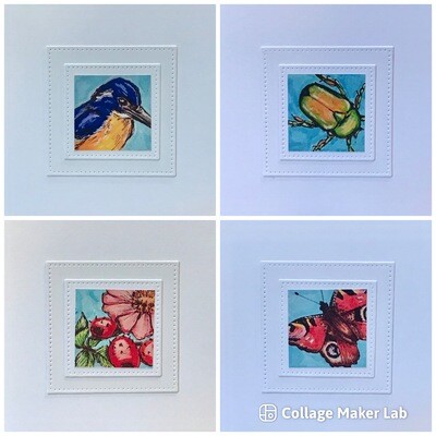 NOTECARDS/ NATURE A Pack of 4 assorted