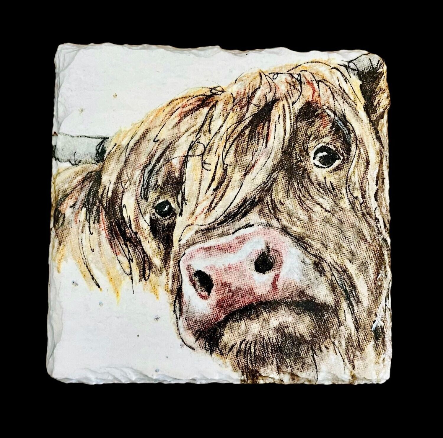 SLATE COASTER SQUARE - HIGHLAND COW