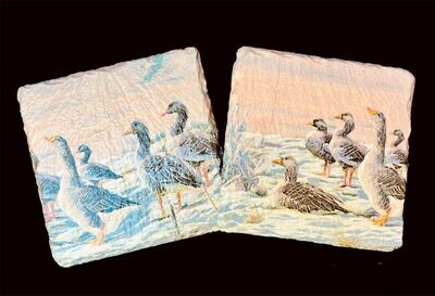 SLATE COASTER SQUARE - WINTER GEESE