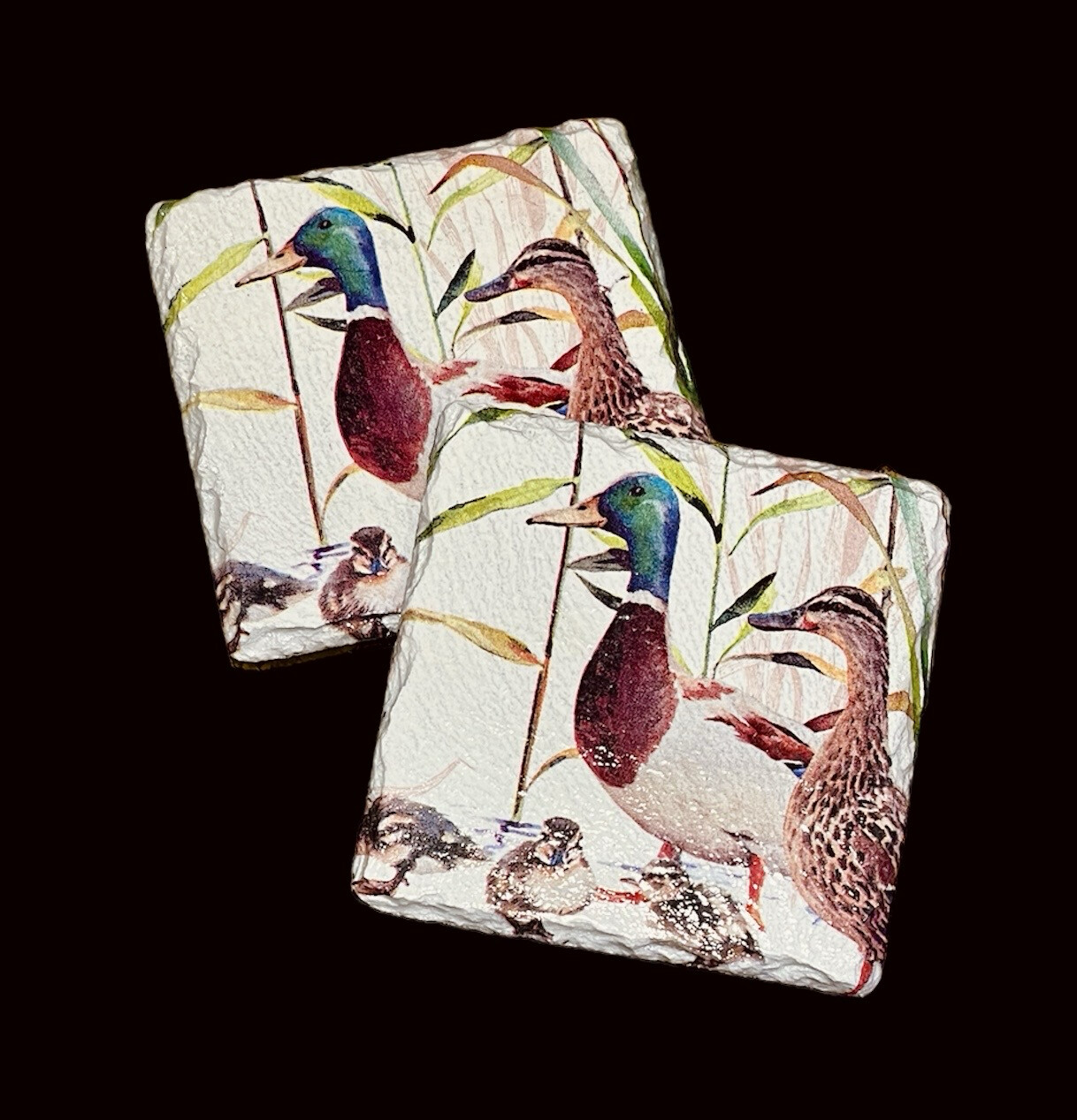 SLATE COASTER SQUARE - DUCK FAMILY