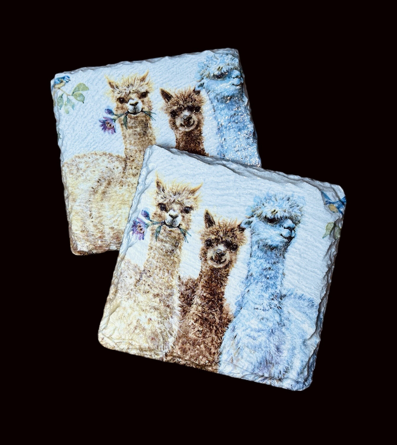 SLATE COASTER SQUARE - LLAMAS