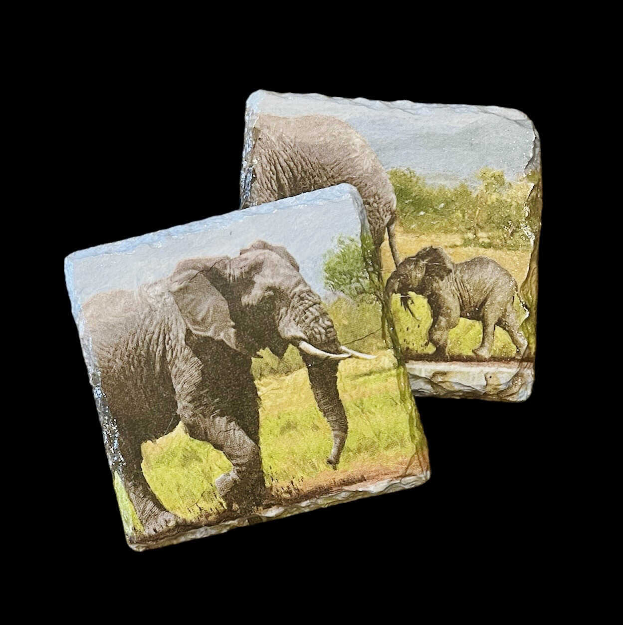 SLATE COASTER SQUARE - ELEPHANTS