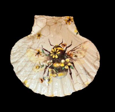 SCALLOP SHELL - BEE