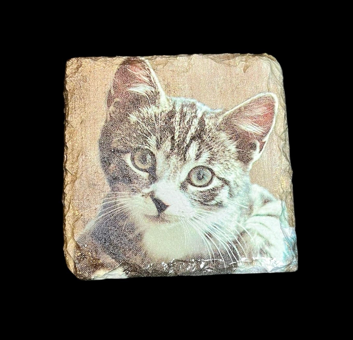 SLATE COASTER SQUARE - KITTEN