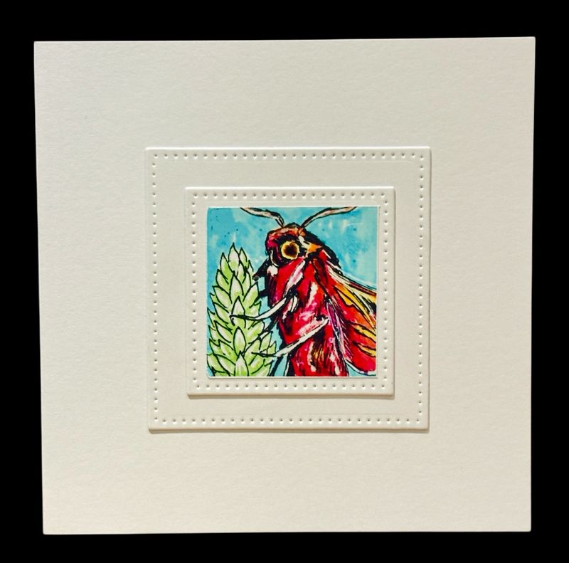 NOTECARD/ PINK ELEPHANT HAWK MOTH