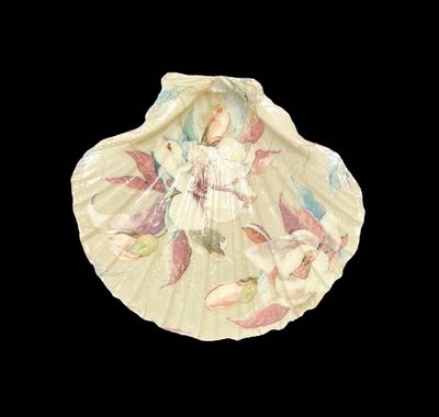 SCALLOP SHELL - DELICATE FLORAL SCALLOP SHELL - DELICATE FLORAL