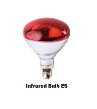 Infrared Bulb