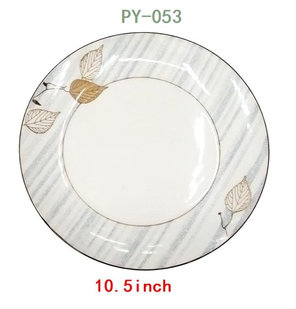 Ceramic Dinner Plates 10.5&quot;