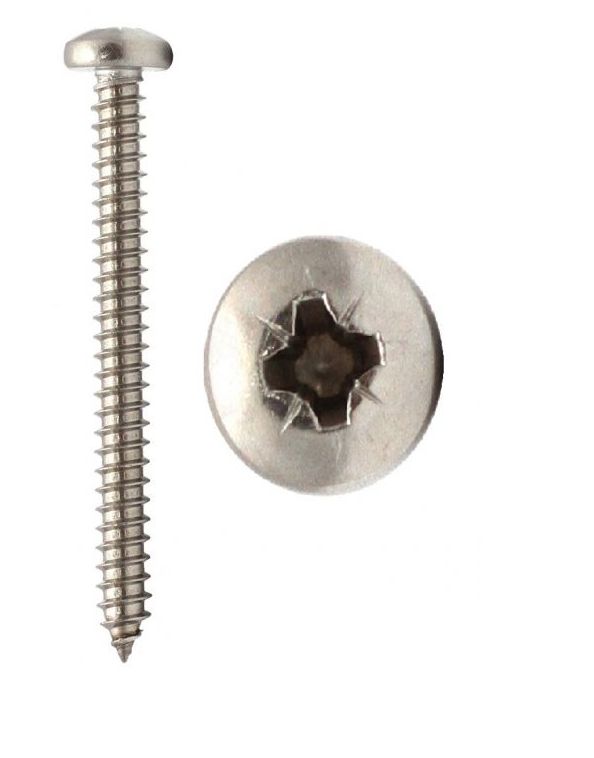 Self Tapping Screws   Pan Pozi 100&#39;s