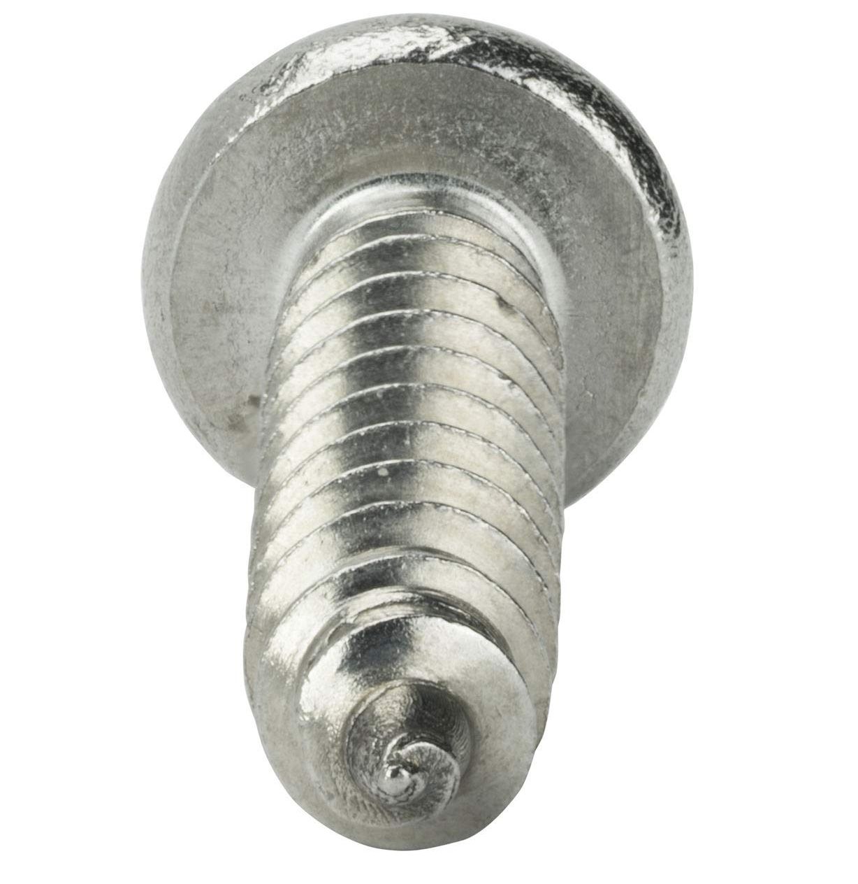 Self Tapping Screws  Security 100s