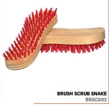 Brush Scrub Snake