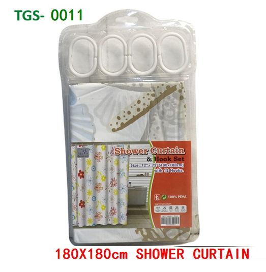 Shower Curtain with Hocks 