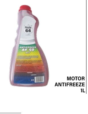 Motor Anti Freeze