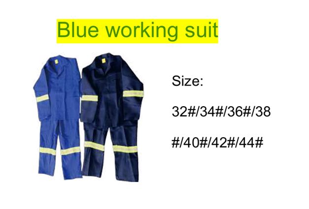 Blue Working Suit