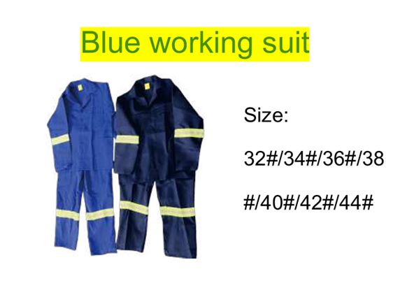 Blue Working Suit