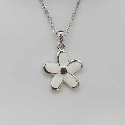 Simple White Daisy