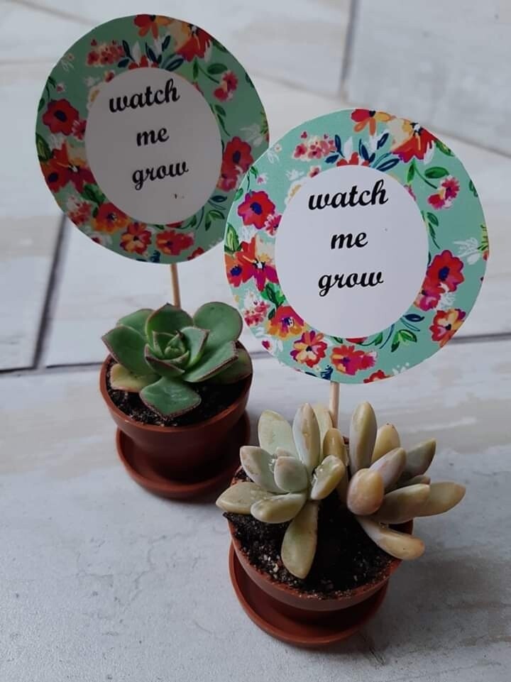 Favours, Bouquets, Lapel Pins, Table Decor