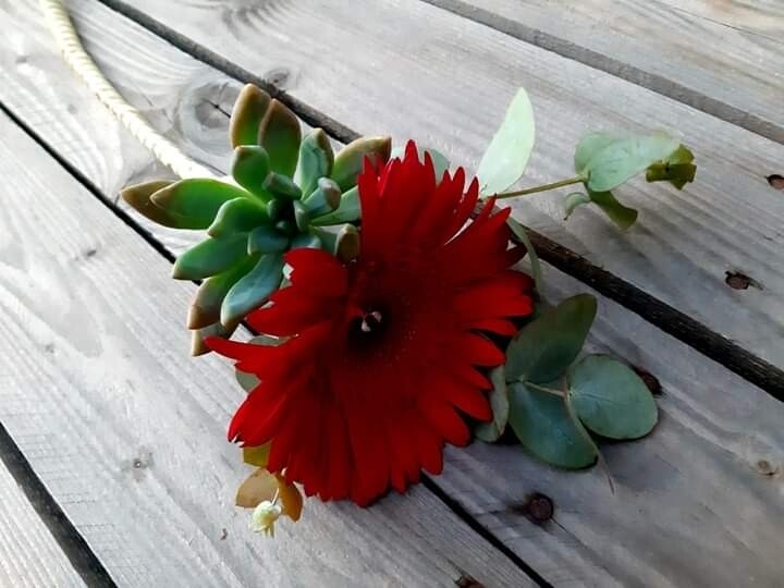 Favours, Bouquets, Lapel Pins, Table Decor
