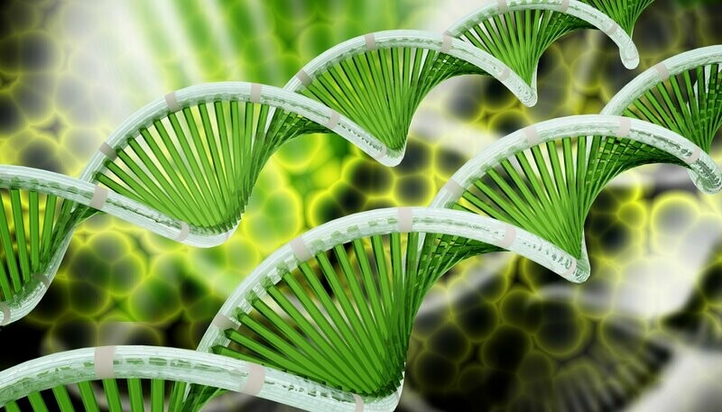 Kristall 12 DNA Strange und Zirbeldrüse Aktivierung