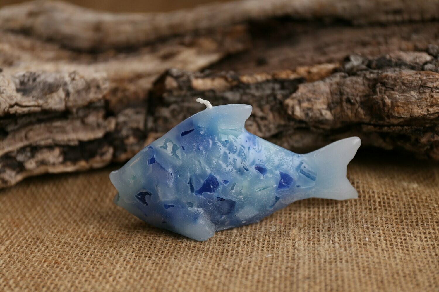 Fisch Mathis