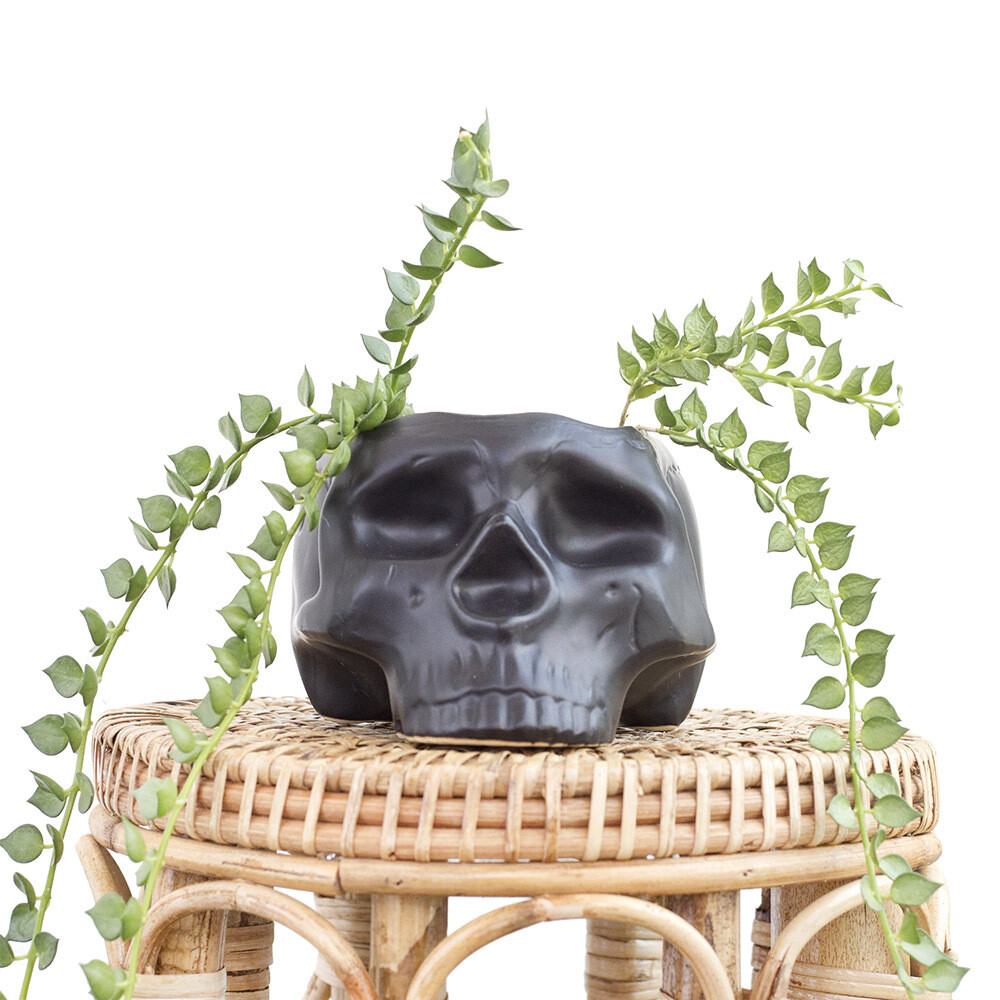 Skull & Bones Pot