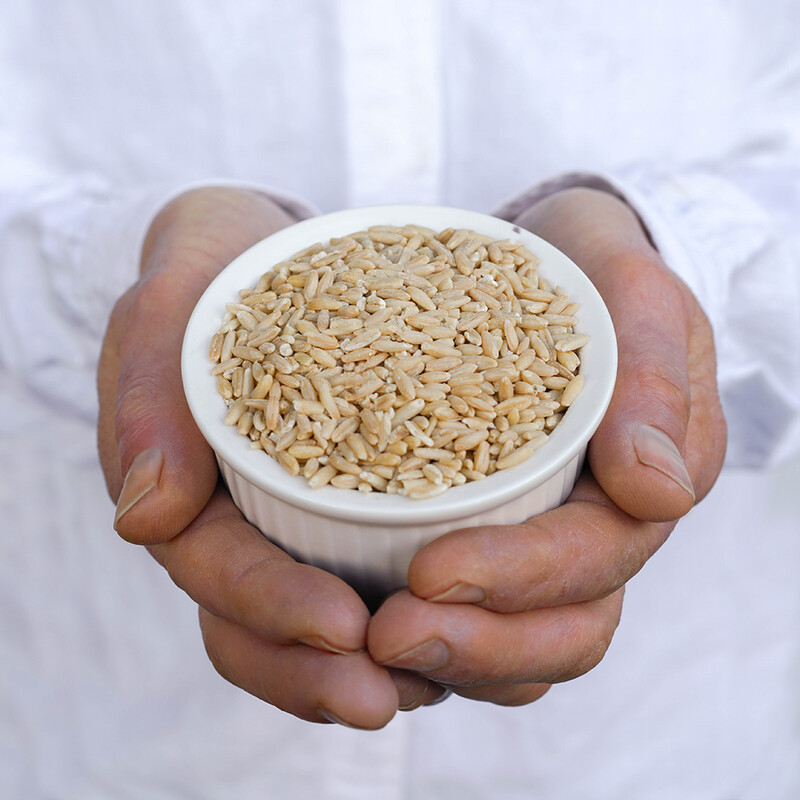 Organic Oat Groats