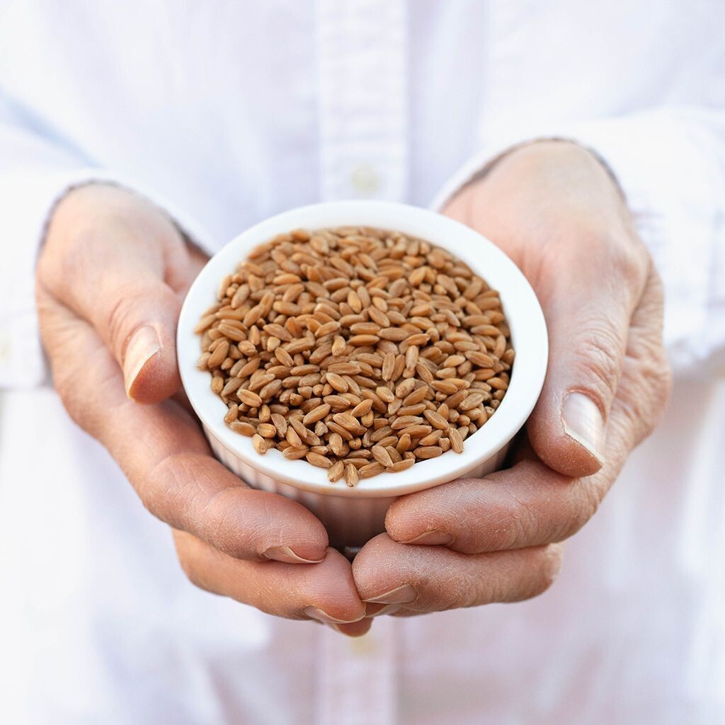Spelt Grain - WA Grown (Whole or Milled), Option: 1kg - Whole