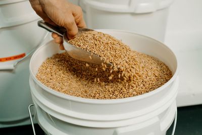 Grains and Seeds