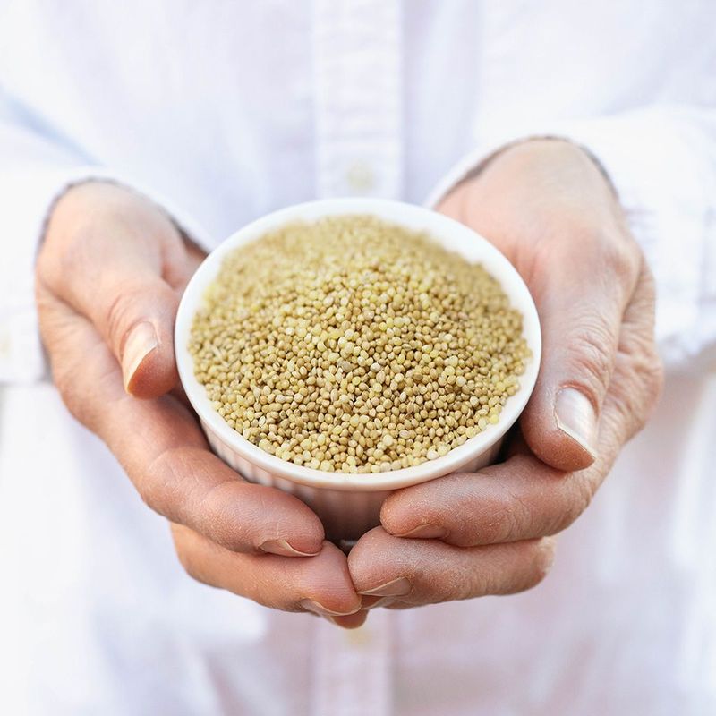 Millet Seed