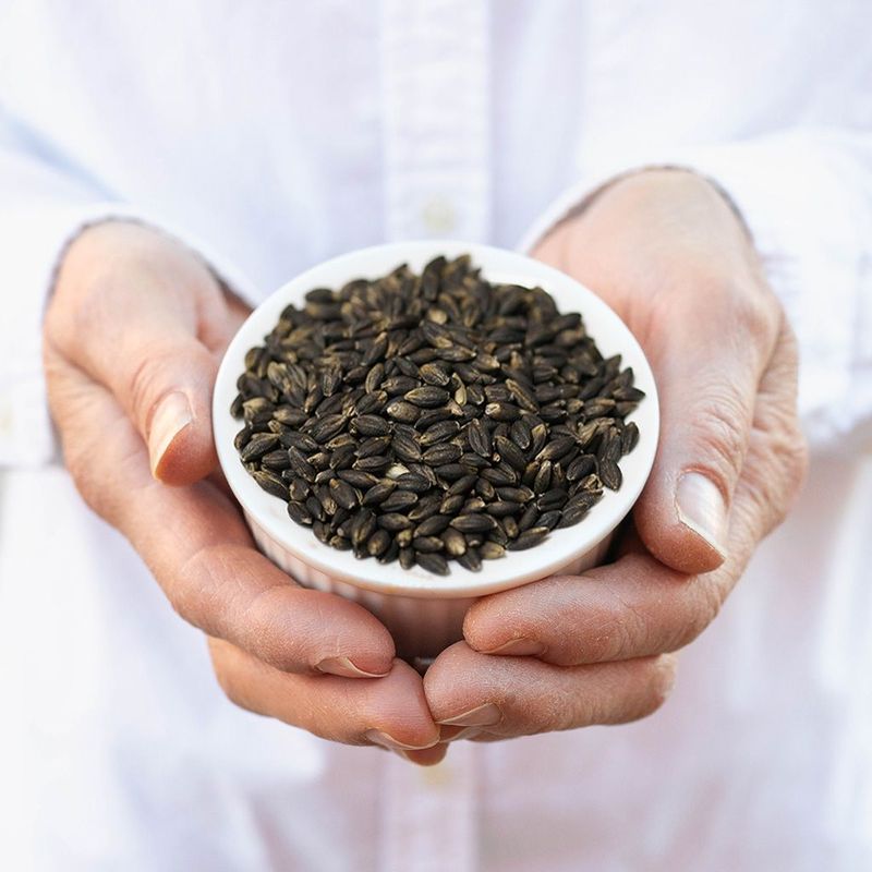 Organic Black Barley