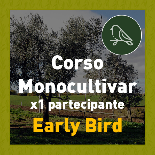 Corso Professionale in Early bird per 1 discente