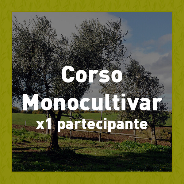 ​Corso Professionale ​per 1 discente