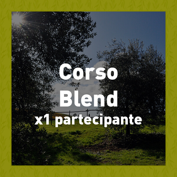 Corso Aziendale per 1 discente