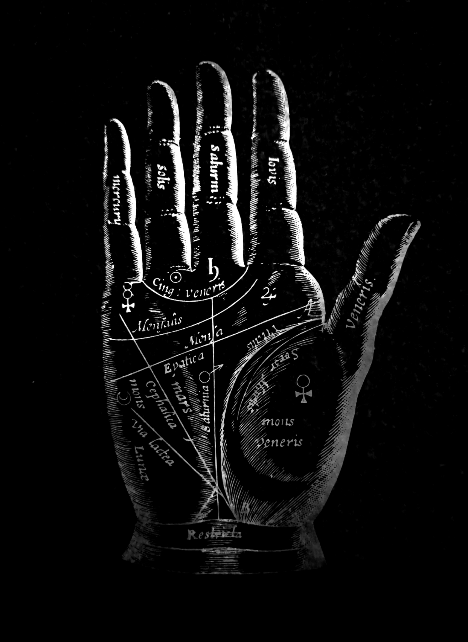 Fortune Teller (t-shirt) 