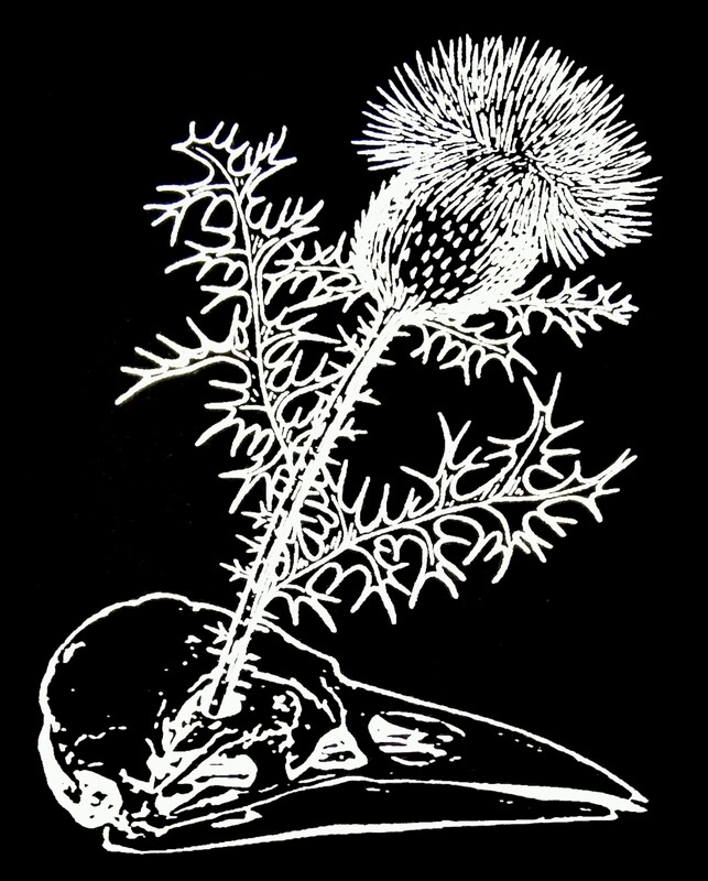 Thistle & Skull (tote bag)